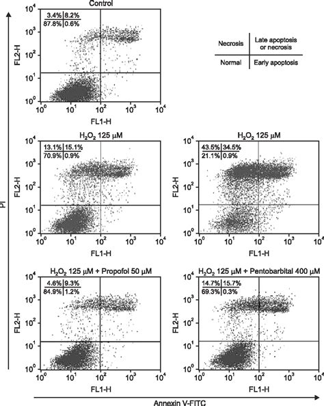 Figure From Comparison Of The Effects Of Propofol And Pentobarbital