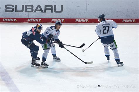 EHC Red Bull München vs Straubing Tigers Archive Nachrichten München