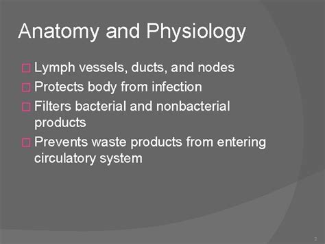 CHAPTER 10 LYMPHATIC SYSTEM DISEASES AND DISORDERS Anatomy