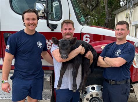 Marion Firefighters Rescue Newborn Calf From Swamp Ocala