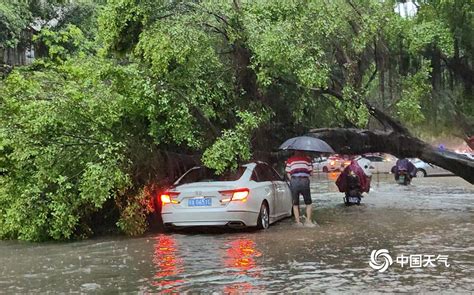 广西玉林局地遭遇特大暴雨 博白城区内涝严重 天气图集 中国天气网