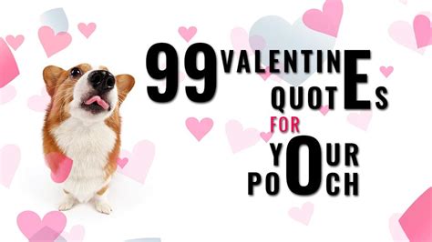 99 Dog Valentine Quotes - Cute Valentine Sayings For Your Pooch - Petmoo