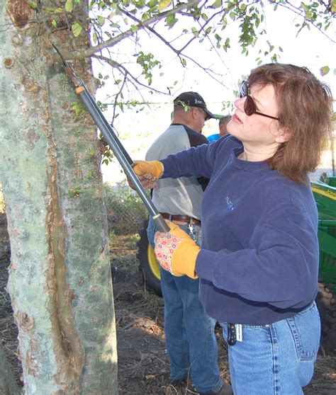 500 Volunteers From Keesler Participate In National Event Keesler Air