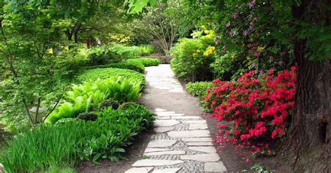 Create Your Own Landscaping Borders