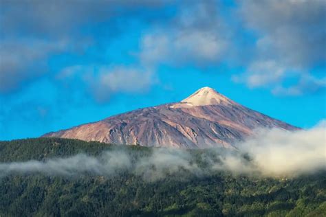 Comment se déplacer dans les Canaries Cariboo