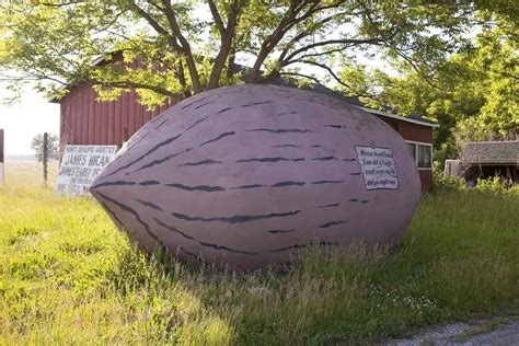 Worlds Largest Pecan In Brunswick Missouri Silly America