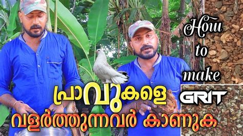 പരവകൾ ആരഗയതതട വരനനത എങങന ഈ video കണടനകക How to make