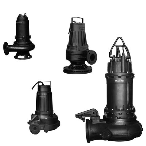 Pump Clarified Water Lcpumps Fumigation Wooden Case Submersible Axial