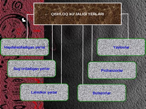 O Zbekistonda Qishloq Xo Jaligi Va Sanoat Sohasidagi O Zgarishlar