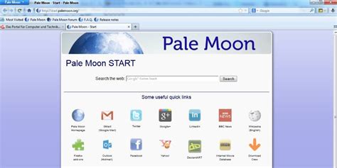 Pale Moon Pc Welt