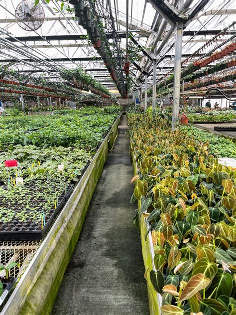 Visiting Logee’s Tropical Container Plants for Home and Garden - The