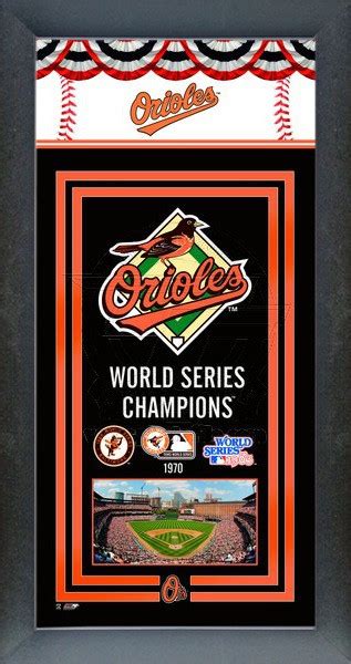 Baltimore Orioles World Series Championship Banner