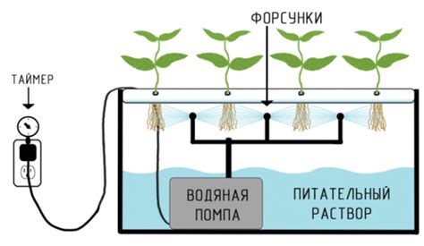 Оборудование для аэропоники: купить готовое или изготовить своими руками