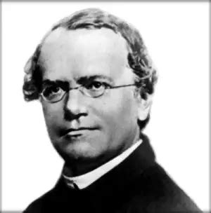 Gregor Mendel: Facts and Information - Primary Facts