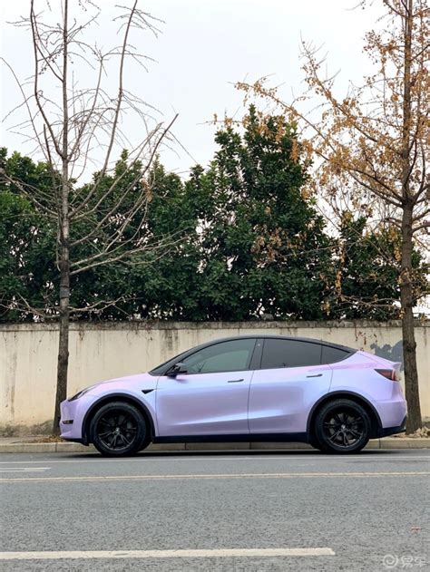 Model Y Model Y