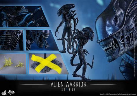 hottoys 異形 mms354 alien vs predator aliens hot toys aliens mms354 非 shf neca 興趣及遊戲 玩具 遊戲類
