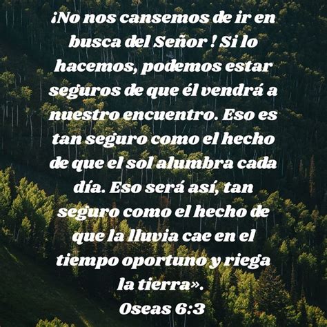 Pin By Alicia Informaciones On Promesas De Dios Fieles Y Verdaderas