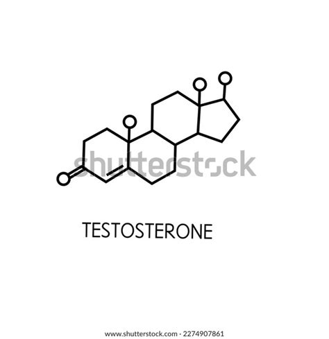 Testosterone Male Sex Hormone Molecule Skeletal Stock Vector Royalty Free 2274907861