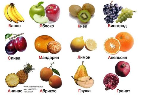 84994476_large_242cd77ea6a8.jpg (699×473) | Детское питание пюре ...