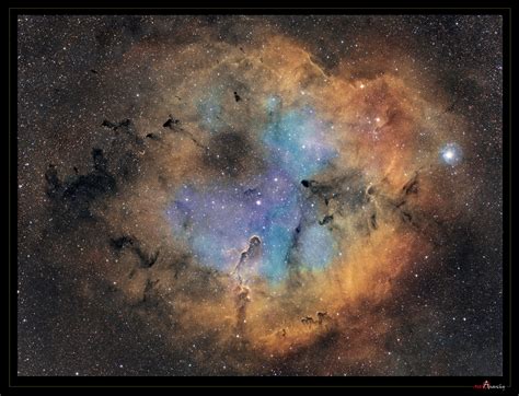 Astro Anarchy IC 1396 The Home Of The Elephant S Trunk Nebula