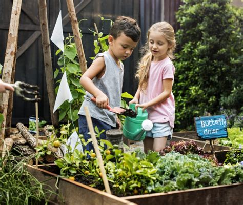 Orto Didattico Per Bambini PianetaMamma It