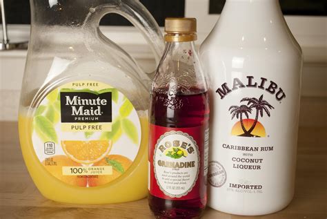 Top 20 Malibu Coconut Rum Drinks Best Recipes Ever