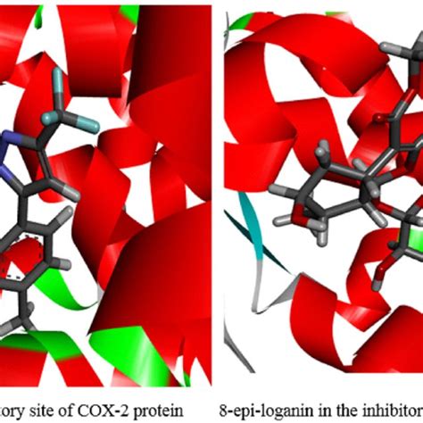 2d And 3d Binding Types Of Celecoxib Binding With Specific Amino Acids