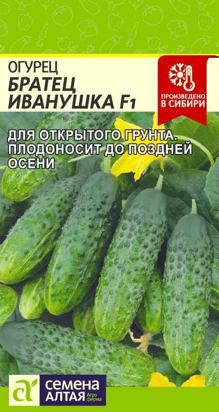 Купить семена огурца с доставкой по почте – интернет магазин "КСП"