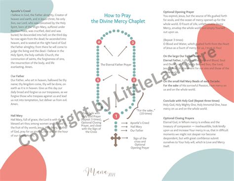Printable Divine Mercy Chaplet Pamphlet- Digital - How to Pray Divine