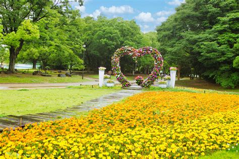 【大阪】なんとひまわり2万株！夏の絶景を楽しむなら「長居植物園」へ！｜るるぶandmore