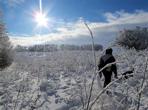 13 Provincial Parks to Visit During Winter in Manitoba