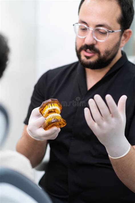 Dentist With Glasses In Latex Gloves Holding Human Jaws Model With