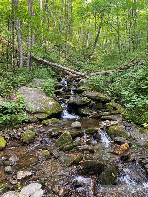 Things To Do In Sylva NC Stunning Pinnacle Park Sylva