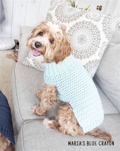 Crochet Dog Sweater Free Pattern - Maria's Blue Crayon