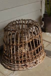 Antiques Atlas Vintage Lobster Pot