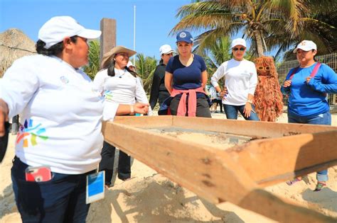 Mantiene Lili Campos Limpias Las Playas En Temporada Vacacional