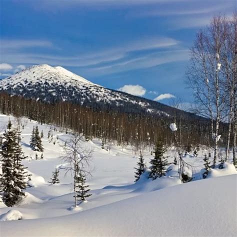 Siberia || Climate Change and Environmental Catastrophe in — a Vicious ...