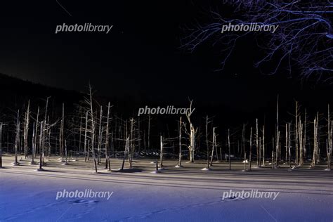 ライトアップされた冬の夜の湖 美瑛 写真素材 5383890 フォトライブラリー Photolibrary