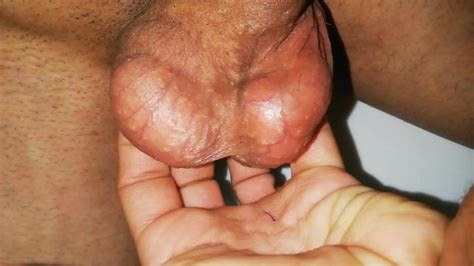 私の大きくて静脈のある睾丸のクローズアップを示す 若い男性 Pornhub Gay
