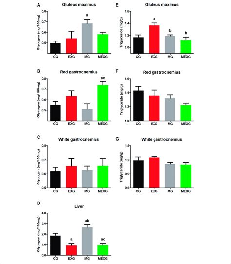 Glycogen Content In Skeletal Muscles And Liver And Triglyceride