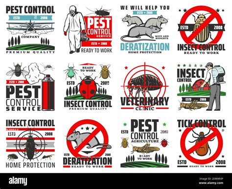 Control De Plagas Exterminio De Insectos Y Roedores Deratization