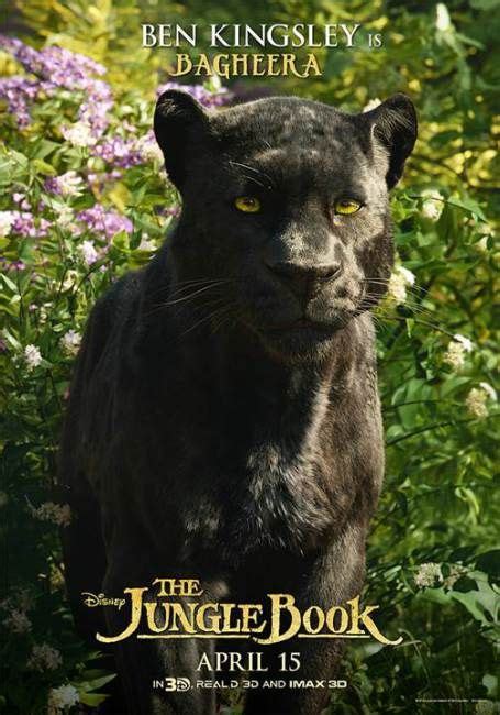 The Jungle Book Jungle Book Bagheera Jungle Book Movie Jungle Book