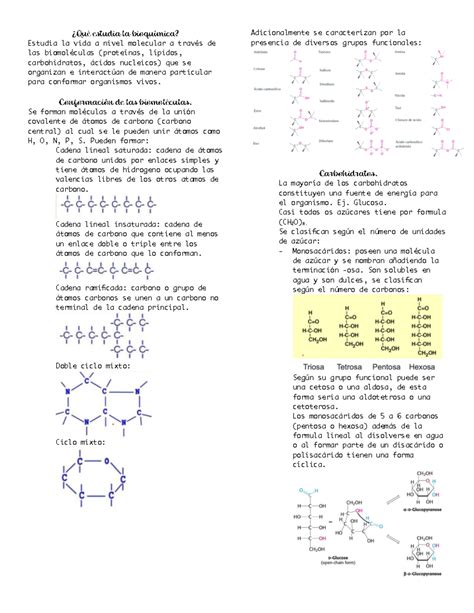 Bioca Solemne 1 Qué estudia la bioquímica Estudia la vida a nivel