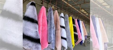 Мех кролика рекс купить в Москве | Личные вещи | Авито