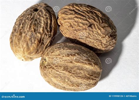 Nutmeg spice stock photo. Image of background, white - 119998126