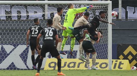 Rb Bragantino X Palmeiras Ao Vivo Onde Assistir Futdados