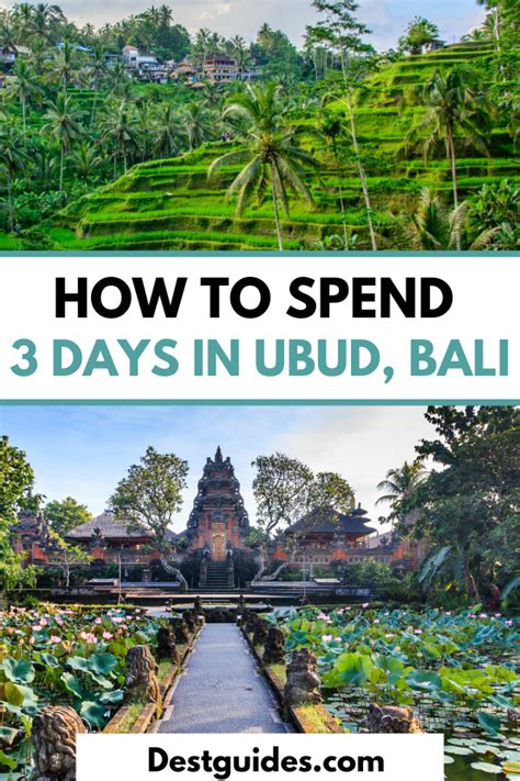 35 Best Things To Do In Ubud Bali Artofit