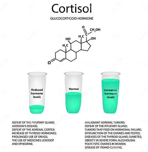 Fórmula Molecular Química Do Cortisol Da Hormona A Hormona Das