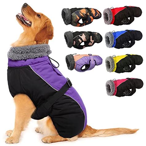 Best Dog Coats for Winter: Keep Your Furry Friend Warm and Dry