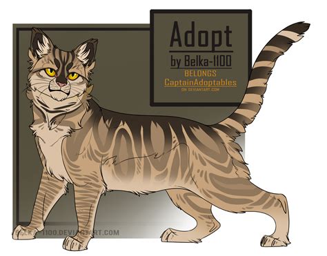 Cat Adopt Closed By Beluibelk On Deviantart